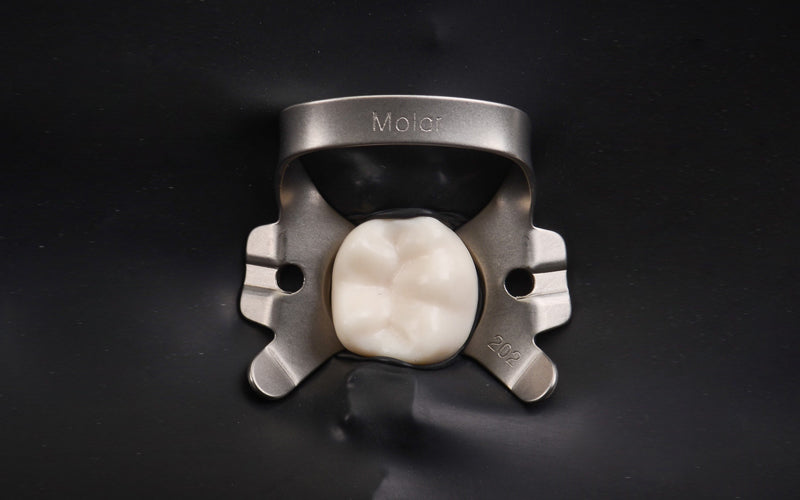 Dique dental de látex negro sin polvo, 6'' x 6'', 36 láminas, color menta