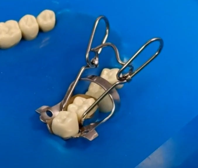 Clamp 8AD (when Working On Mandibular Molars Provides