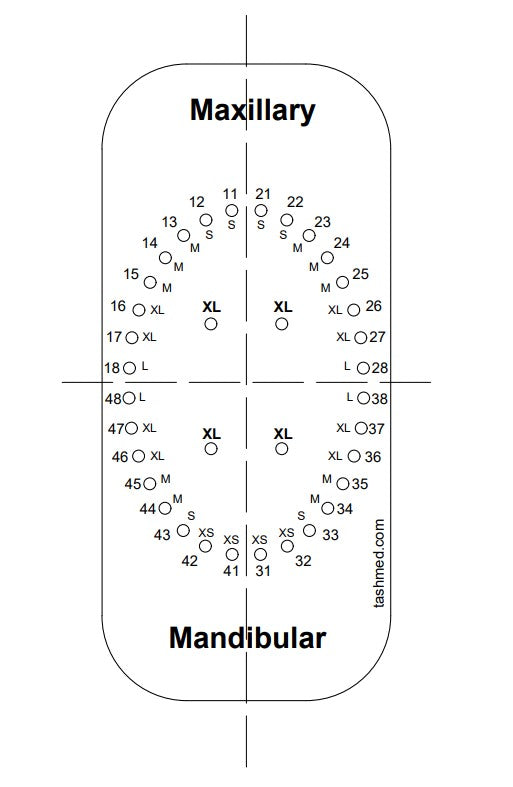 Modèle de barrage en caoutchouc de base