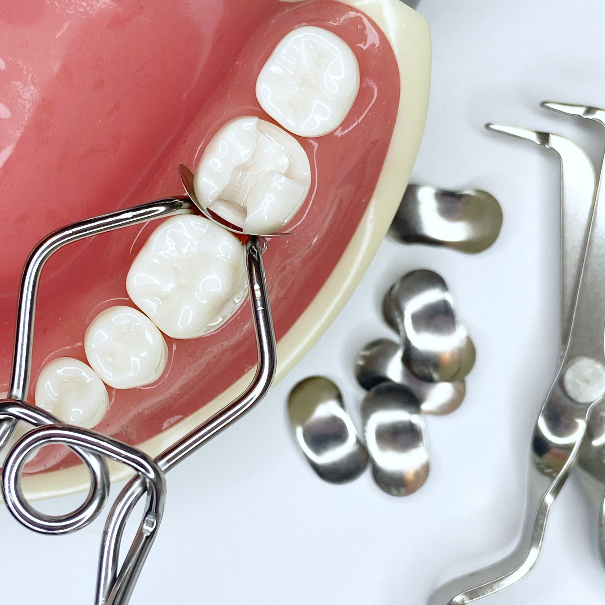 Clip de resorte para matrices seccionales