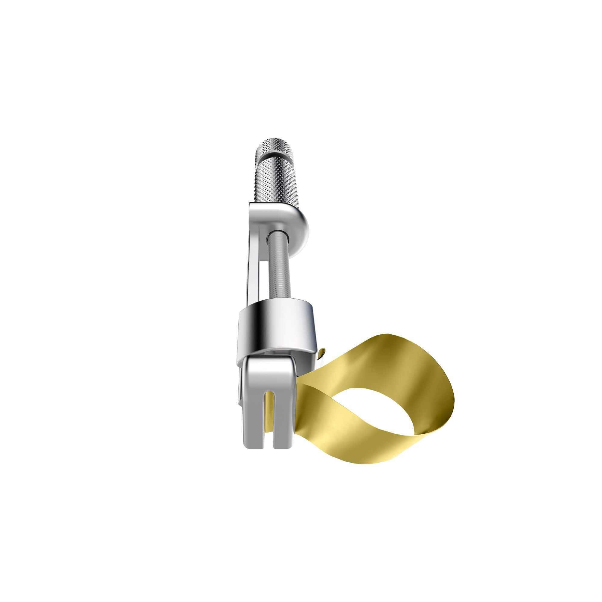 Grandes fanfares de la courbe