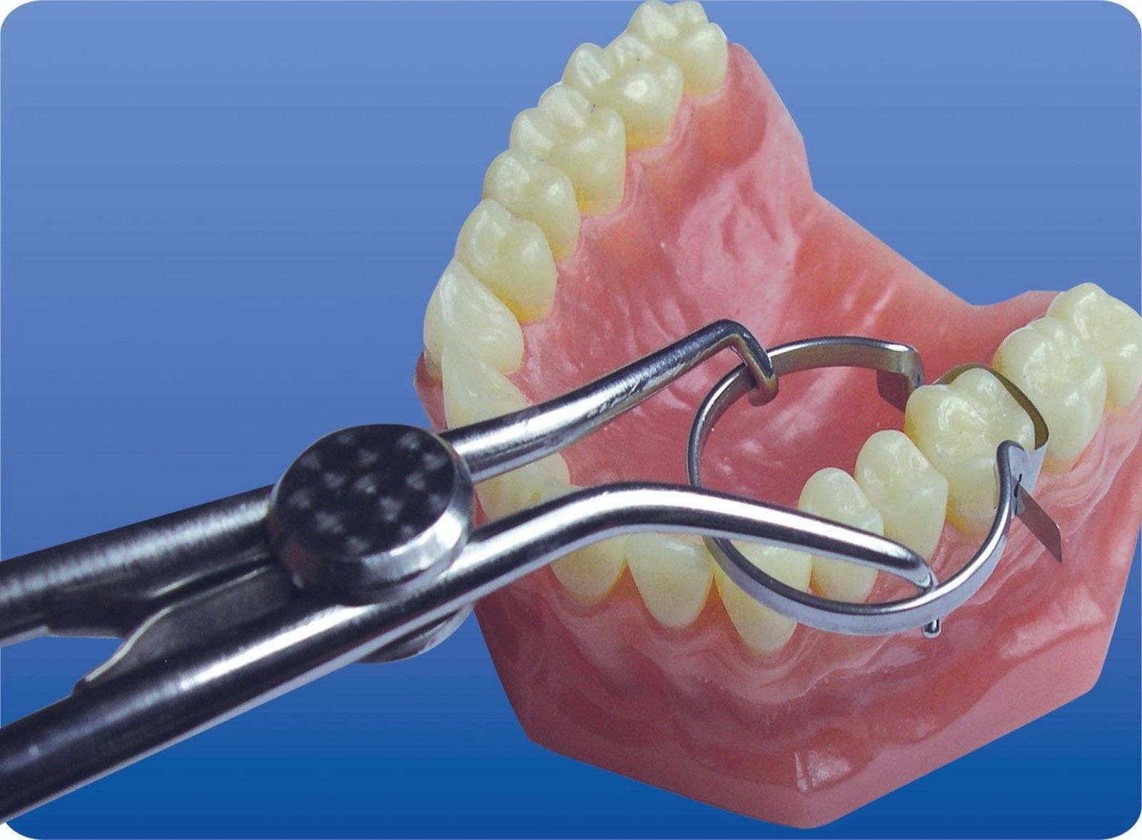 « Fente » - Anneau